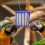 Nichoir pour perroquets, pinsons, calopsittes, pigeons 4