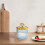 Pot de rangement transparent en plastique avec couvercle 1
