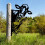 Ensemble de décorations de clôture de jardin en fer forgé avec vache, âne et canard 3