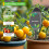 8 in One Multifunction Soil Meter Digital Ph/EC/Light/Moisture/Fertility/Thermometer/Hygrometer Test for Gardening 5