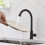 Plastic Steel Kitchen Faucet with Water Purifier Single 8