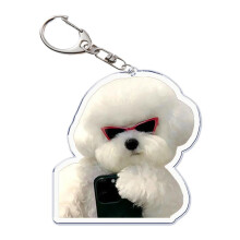 Key Chain Pendant Fashion Jewelry Charm Bead Bag Accessory