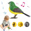 Realistic Singing Bird Toy Green Battery Operated 1