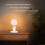 2pcs Polished Metal Desktop/Hanging Light Bulb Socket E26/E27 Lamp Base,Screw Light Bulb Extension Socket US Plug White 7