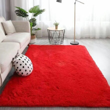 Area Rug Microfiber Plush 2 ft x D ft