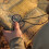 Military Compass for Hiking and Survival Waterproof 2