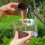 Fuglefoderautomat Adsorption Transparent Fuglebur Mad Vandskåle 4