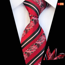 Men's Paisley Floral Tie and Pocket Square Set