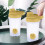 Protein Shaker Bottle Plastic 500 ml with Scale 4