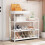Shoe Storage Cabinet Dustproof Indoor 4-Tier 1