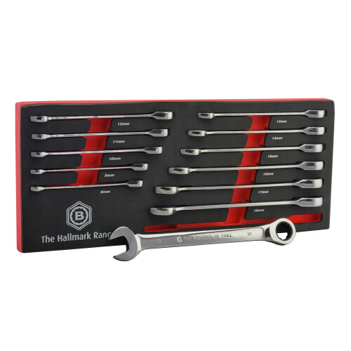 Britool Ratchet Spanner Set 12Pc 8-19mm