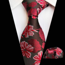 Men's Floral Paisley Tie and Pocket Square Set