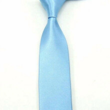 Men's Satin Skinny Necktie 10 PCS