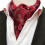 Men's Ascot Tie Paisley Pattern Wedding Party 1