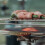 Portable Stovetop Grill Rack Mini Foldable BBQ Cooking Tool 3