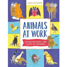 Animals at Work by Jess Hayman Hardcover Book