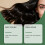 Shampooing clarifiant au romarin, formule végétale, pour cheveux 10
