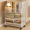 CIYISON Portable Rolling Storage Stand with Shelves 4
