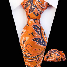 Men's Floral Paisley Tie and Pocket Square Set