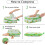Nylon Compression Packing Cubes Set 6 pcs 2