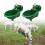 Automatic Animal Drinking Water Bowl Consistent Water Supply 10