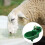 Automatic Animal Drinking Water Bowl Consistent Water Supply 9