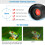 Binoculars 60x50 for Adults FMC Lens 4
