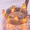 Reindeer String Lights Warm Orange 10ft Battery Copper Wire 6