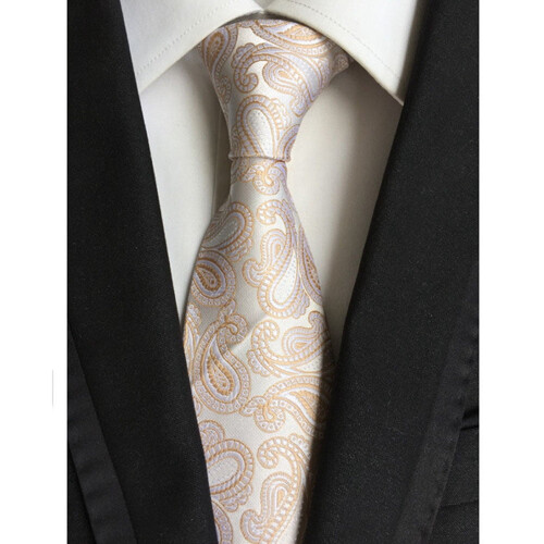 Men's Paisley Jacquard Woven Necktie