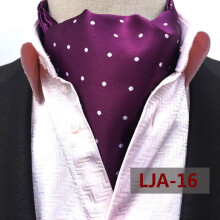 Men's Paisley Floral Polka Dot Cravat Ascot Neck Tie