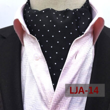 Men's Paisley Floral Polka Dot Cravat Ascot Neck Tie