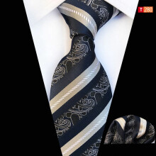 Men's Paisley Floral Necktie and Pocket Square Set
