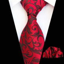 Men's Floral Paisley Tie and Pocket Square Set