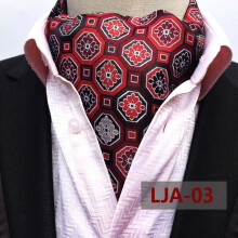 Men's Paisley Floral Polka Dot Cravat Ascot Neck Tie