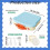 Toast-Shaped Bento Box 4-Compartment with Sauce Cup and 3