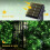 Solar Copper Wire Fairy Lights 33FT 100LED 2 Pack Green 8