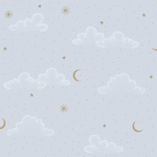 Gentle Night Sky Wallpaper Light Blue Muriva N07321