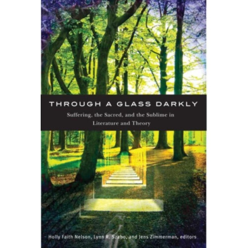 Through a Glass Darkly Paperback Book