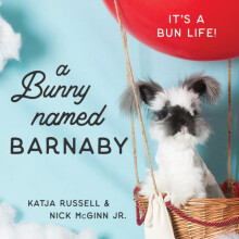 A Bunny Named Barnaby Its a Bun Life by Katja Russell Hardcover Book