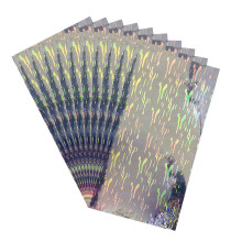 10 stuks holografische zelfklevende film waterdicht vissen-01