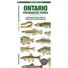 Ontario Freshwater Fishes 2nd Ed by Matthew Morris Paperback Book