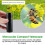8X Monocular Telescope Compact Handheld for Outdoor Use 4