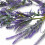 Homescapes Artificial Lavender Garland, 190cm, Purple 3