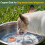 Birdbath Cleaner Copper Disk Rustproof Bowl Cleaner For-cat 8