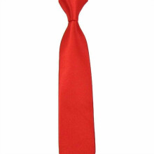 Men's Satin Skinny Necktie 10 PCS
