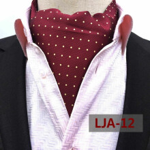 Men's Paisley Polka Dot Cravat Scarf Ascot Neck Tie