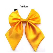 Women's Adjustable Bow Tie Satin Necktie 10 PCS