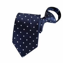 Men's Classic Paisley Necktie 8 cm Wide Pre-tied