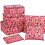 Travel Storage Bag Set for Clothes Packing 2