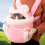Pet Carrier Backpack Front Bag Soft Portable for Small Dog 8